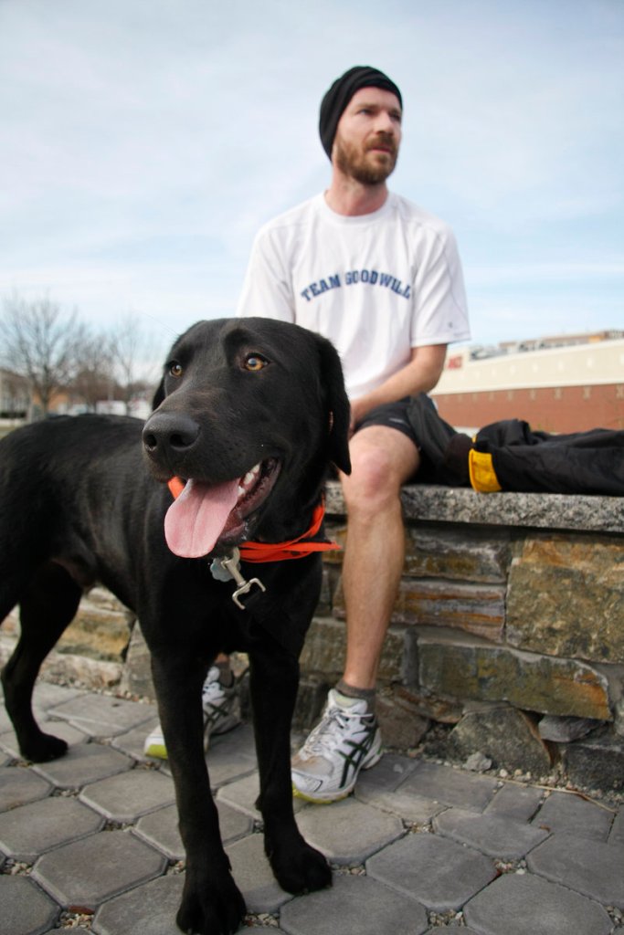 Tucker, a 1-year-old black Lab, rests after winning the first Bayside Trail 5K Race with his owner, Steve Niles of North Deering, on Sunday.