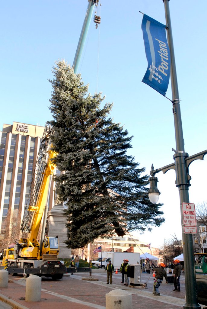 Oh, Tannenbaum! Readers want the tree in Monument Square to be called by its traditional name, and nothing else.