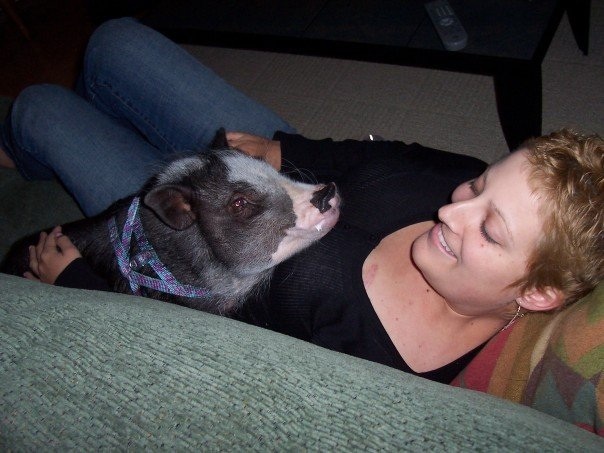 Jennifer Willey with her adopted pot-bellied pig, Willa