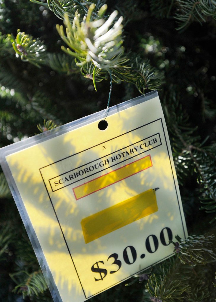 A price tag hangs on a tree at the Scarborough Rotary’s Christmas tree sale Sunday. Sale hours are 3 to 7 p.m. Monday through Friday and 10 a.m. to 7 p.m. Saturday and Sunday at the corner of Route 1 and Black Point Road in Scarborough.