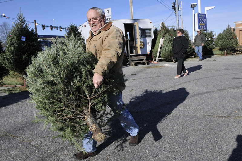 Tom Dobbins of Scarborough carries a tree to his pickup Sunday after choosing it at the Rotary Club of Scarborough’s Christmas tree sale. He and his wife had to exchange their first choice, which proved to be too big.