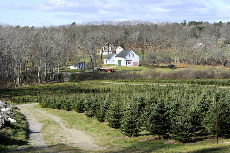 The Old Farm Christmas Place of Maine in Cape Elizabeth.