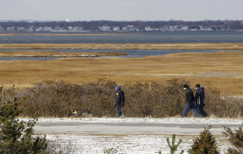 Authorities search in the brush by the side of the road at Cedar Beach, near Babylon, N.Y., on Tuesday.