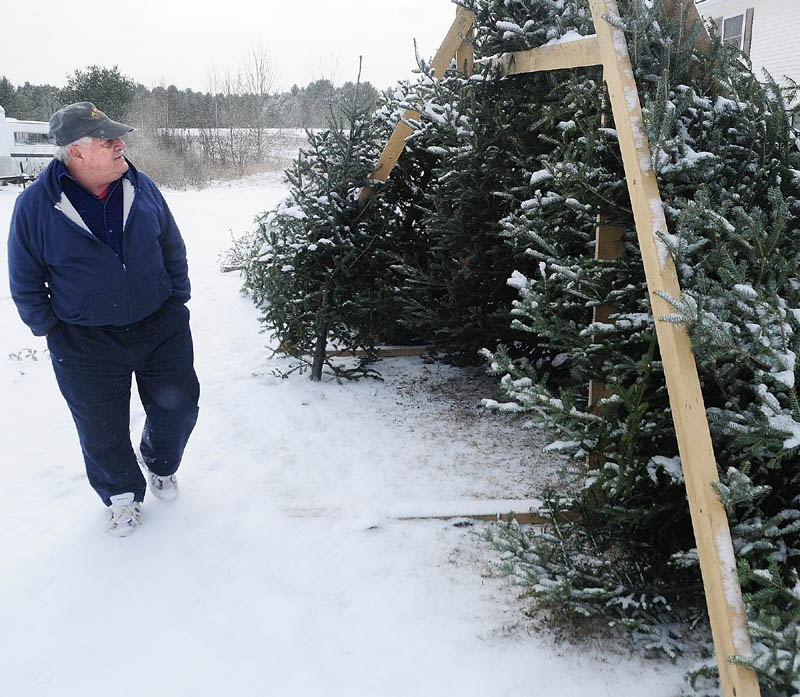 Mike Buring surveys trees that remain on sale Wednesday at the stand where his Knights of Columbus council is selling the trees in the American Legion Post 205 parking lot on Eastern Avenue in Augusta. Many trees were stolen there recently.