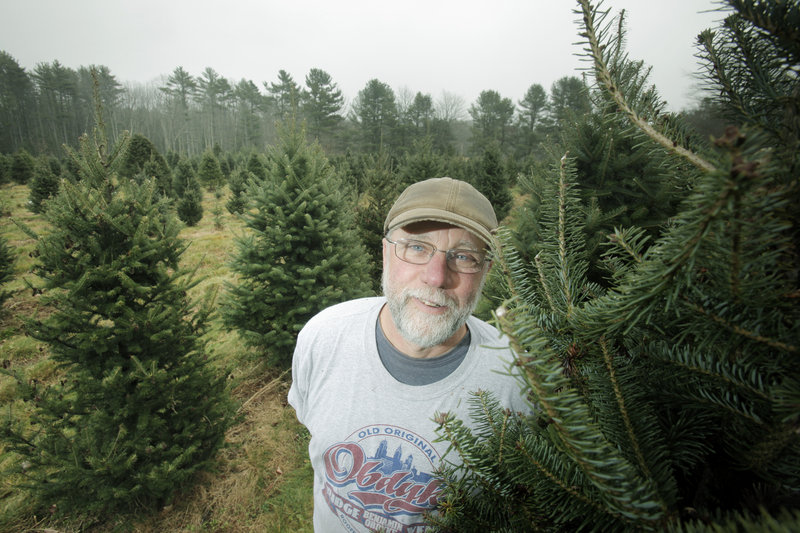 David Brandt and his wife, Diane Holmes-Brandt, own Holmes Tree Farm in Kennebunk. They have more than 28,000 trees planted.