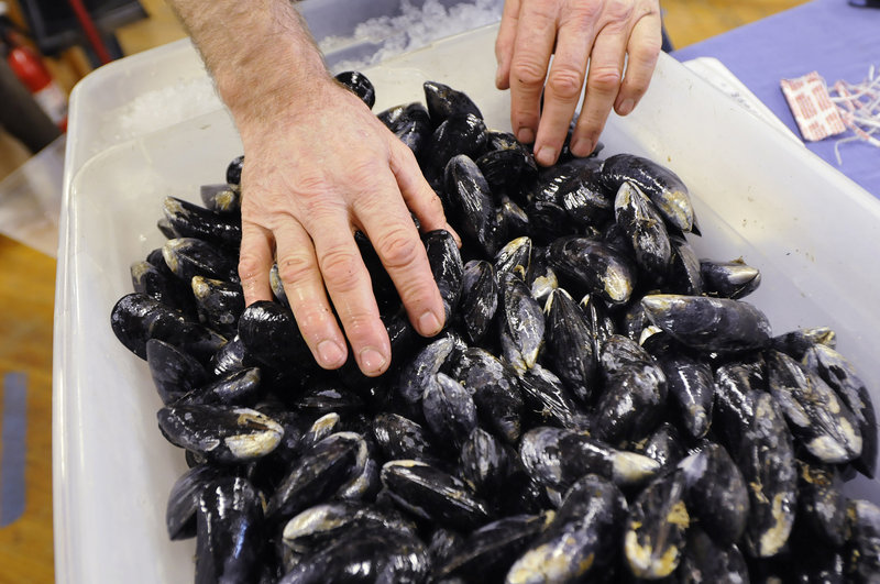 Phil Gray of New Meadows Mussels in Harpswell arranges his display.