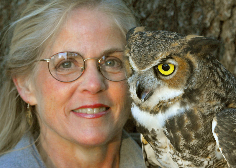 Naturalist Marcia Wilson and husband, Mark, a photographer, bring their Eyes on Owls road show to Gilsland Farm in Falmouth this weekend.