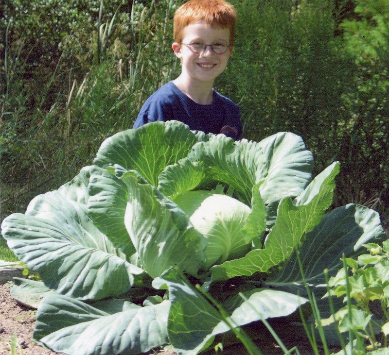 Dylan Jones, Maine state Bonnie Plants winner, and his cabbage. Dylan won a $1,000 bond.