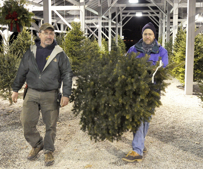 Ray Routhier, right, gets tips on selling Christmas trees from Lee Randall at O Donal's Nursery in Gorham.