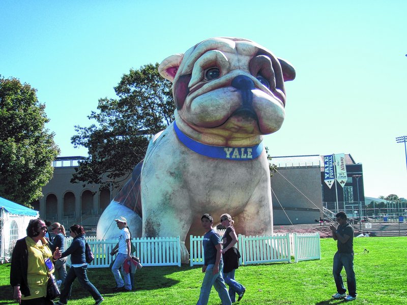 Handsome Dan, Yale’s bulldog mascot, welcomes spectators to home football games during the fall.
