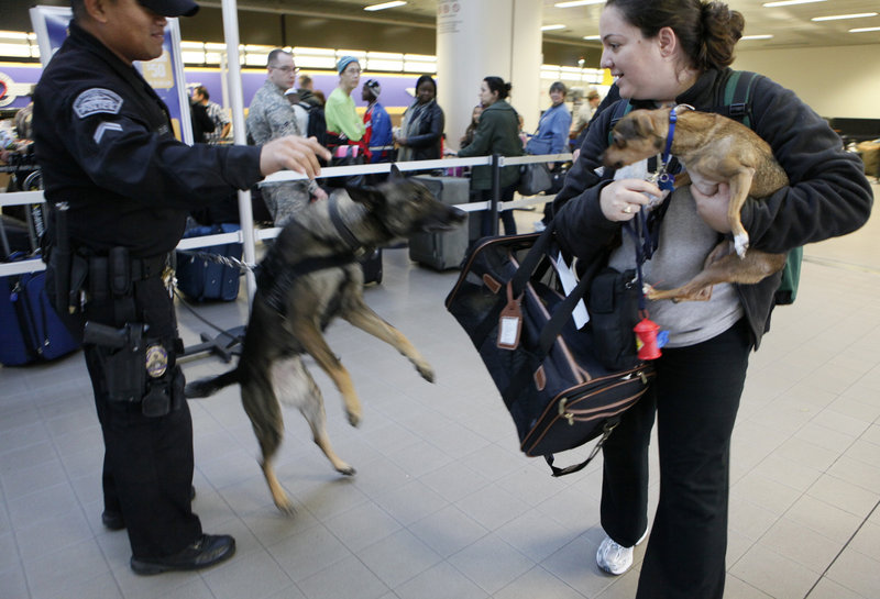Los Angeles Police K-9 officer E. Ornelas, accompanied by his Belgian Malinois, Kira, orders a woman to keep her dog inside his cage Tuesday at Los Angeles International Airport.