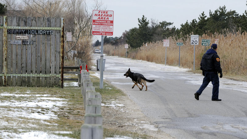 K-9 unit police use a cadaver dog in a residential area of Oak Beach on New York's Long Island today, as authorities continue scouring a 10-mile stretch of beach access road where four bodies were discovered.