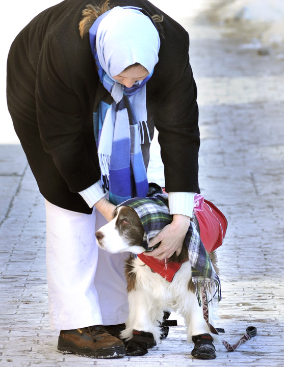 Donna Luebke from Georgetown, and Bonnie, a 13-year-old springer spaniel, keep bundled up as they walk along Congress Street in Portland this morning.