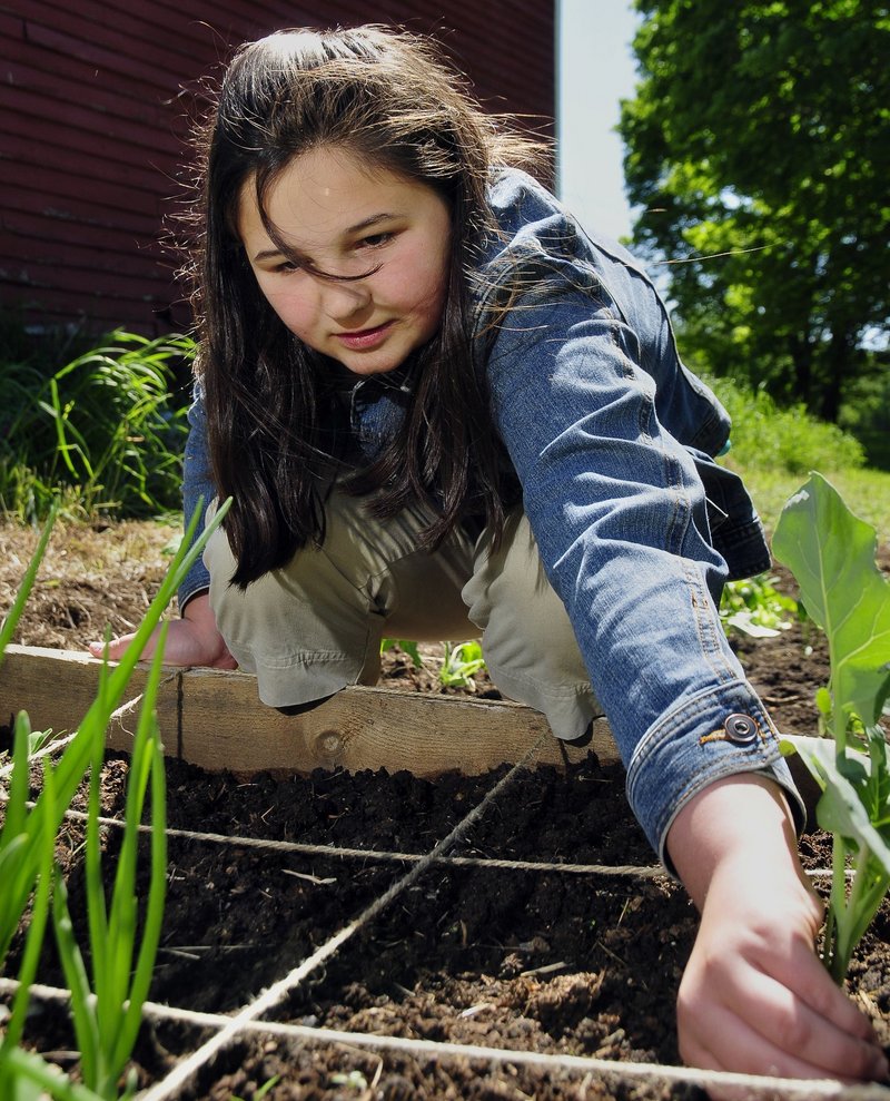 Master Gardener volunteers are involved in a wide range of programs and community efforts, including Kids Can Grow. Here, a volunteer tackles the garden at Shaker Village in Gray.
