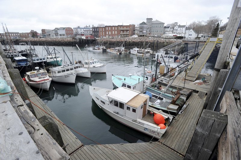 The fishing fleet sits tied up in Eastport. A retired fishery official foresees increasingly healthy fish stocks.
