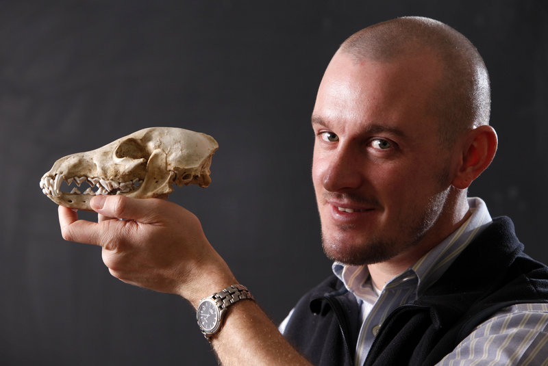 Belknap poses with the skull of a domestic dog Friday at the University of Maine in Orono.