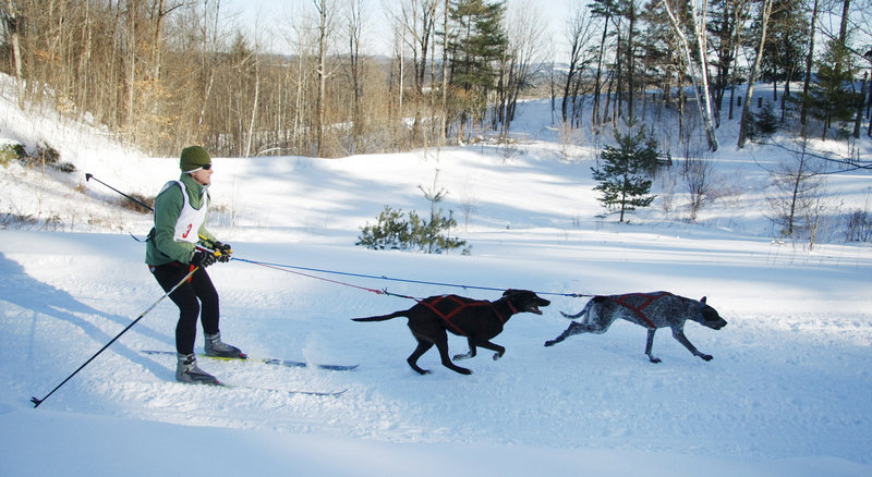 A skier gets an assist at Five Fields Farm on Saturday during the two-dog skijoring event at the Mushers Bowl and Winter Carnival in Bridgton.