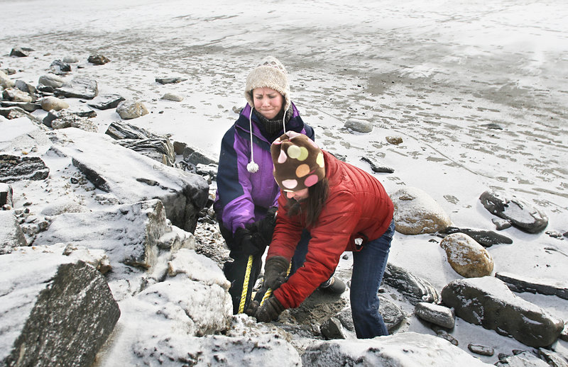 Surfrider Maine Foundation members Kate Strait of South Portland, left, and Melinda Irving of Portland try to remove lobster boat rope tangled in the rocks during the Higgins Beach cleanup.