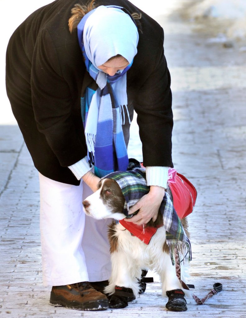 Donna Luebke of Georgetown and Bonnie, a 13-year-old springer spaniel, keep bundled up as they walk along Congress Street in Portland, where the low was minus 13. But Portland was far from the coldest place in Maine; in Fryeburg, it was minus 29.
