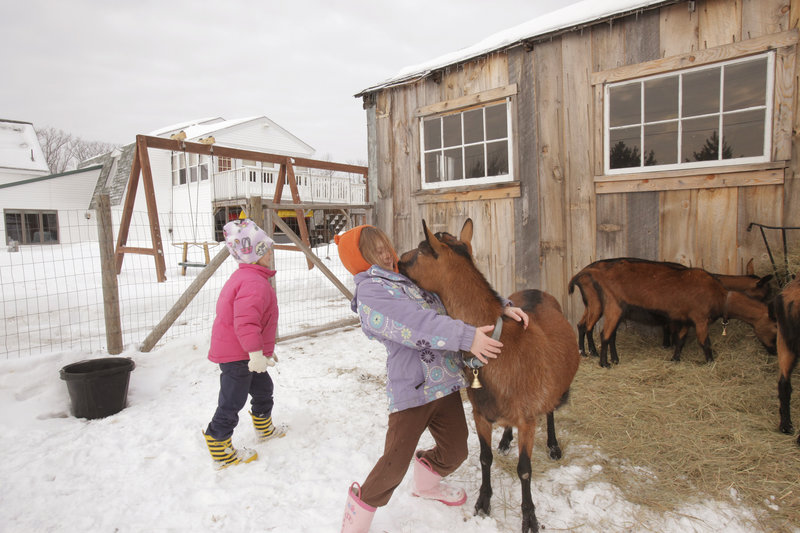 Olivia Proulx, 6, of Gorham reacts to a kiss from Ro-Ro, one of the family’s four Oberhasli goats. The family is hoping to convince the town to change an ordinance that now prohibits livestock on lots smaller than 6 acres. At left is Olivia’s younger sister, Rozalyn.