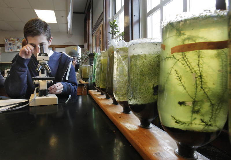 Marc Korobkin uses a microscope to examine bacteria from a micro-ecosystem in an AP biology class at Portland High School Thursday.