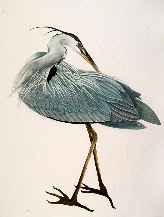 Two paintings of great blue herons by Portland painter Scott Kelley appeared in the November/December issue of Veranda magazine.