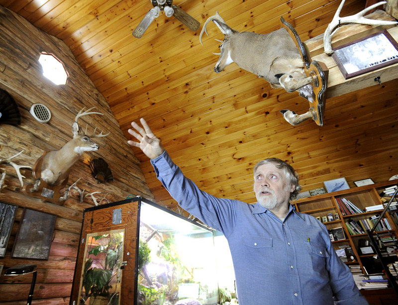 John Chapman shows two of his mounted trophy bucks. Chapman and his wife believe their feeding contributes to the good health of the deer they hunt.