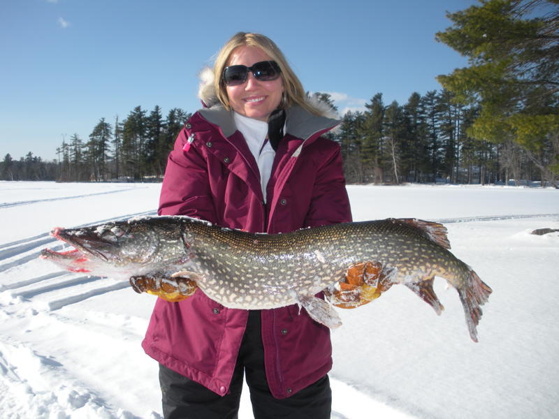 Jenny Moody caught this 13-pound pike on Jan. 22 in Winthrop. Her husband, Clyde Moody of Winthrop, who sent in the picture, said she moved here from Florida in November.
