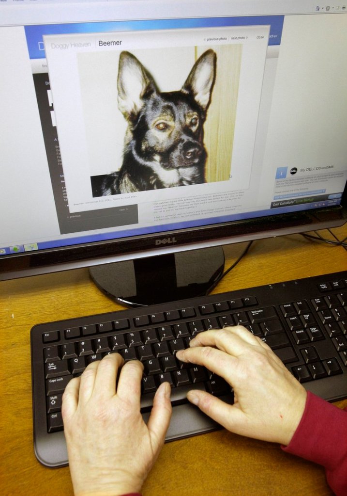 Joann Cencula works on her website Doggy Heaven at her home in Wickliffe, Ohio. On the screen is a photograph of Beemer, one of Cencula’s beloved dogs that passed away.