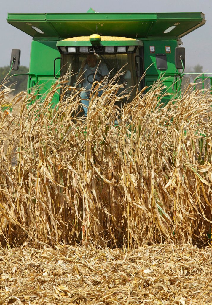Central Illinois farmers harvest their corn crops near Monticello, Ill., last fall. U.S. reserves of corn have hit their lowest level in more than 15 years.