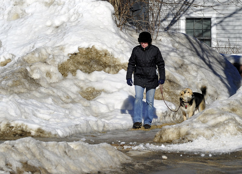 Christine Kiley and her dog Andy walk carefully over the icy sidewalks around Munjoy Hill in Portland Tuesday. Kiley owns Dogwise Obedience, a dog training business.