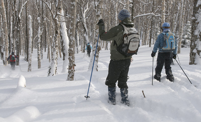 Skiers tackle the Wildcat Valley Trail in New Hampshire. The trail, for cross-country skiers only, stretches 18 kilometers from the peak of Wildcat Mountain to Jackson Village.