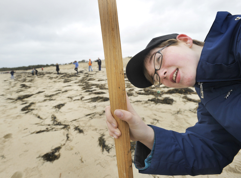Scarborough Middle School students work on a beach-profiling project Thursday, taking measurements from the dunes to the shoreline. Their findings, to be reported to the Maine Geological Survey, will help track the slope and erosion of the beach. Here, Sarah Mulligan calls out measurements while sighting down her measuring pole.