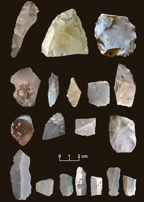 This undated handout photo provided by the journal Science shows some of the artifacts from the 15,500-year-old horizon site in Texas.