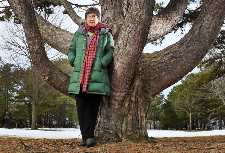 Conservationist Roxanne Quimby poses next to white pine in Portland. Quimby, the founder of Burt's Bees, has been buying up land in Maine for what she hopes will one day become a national park.