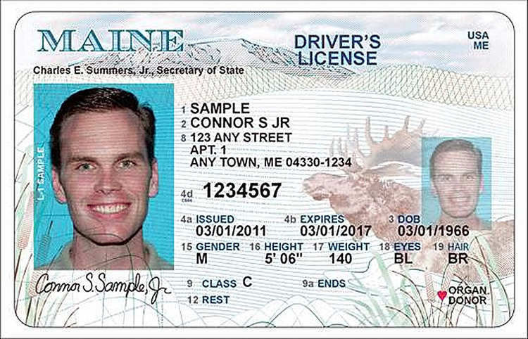 The new design for the Maine State Driver's License features images of a moose and Mount Katahdin.