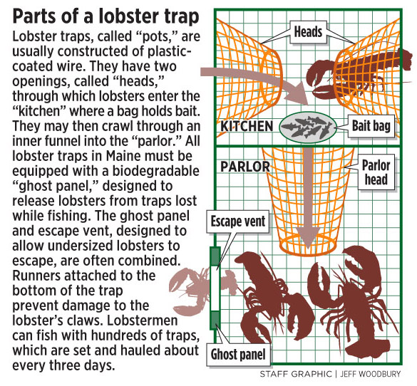 Federal Lobster Permit Holders: Lobster Trap Tag Ordering Instructions