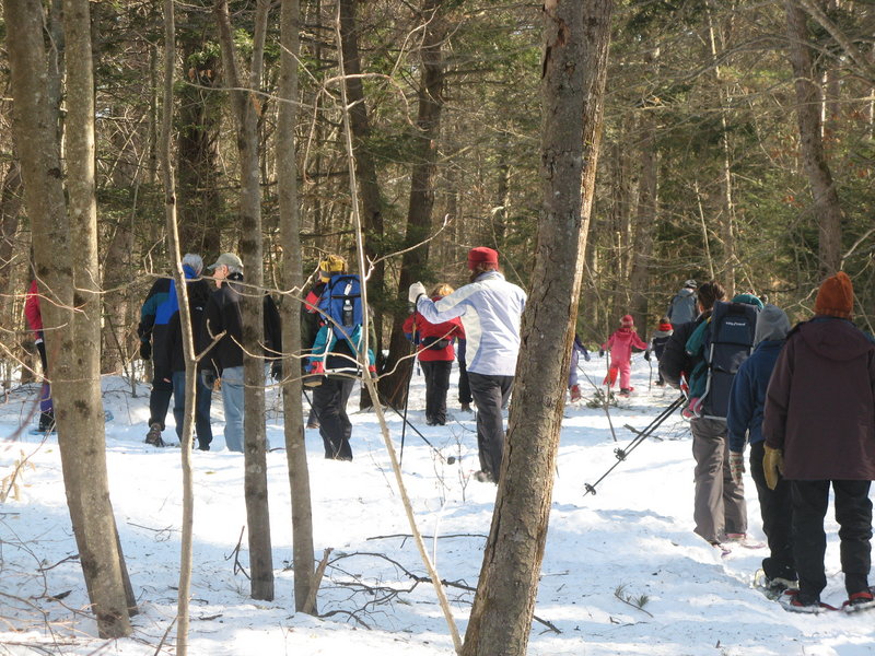 A guided snowshoe hike, hosted by the Chebeague & Cumberland Land Trust, will take place from 1:30 to 3:30 p.m. today at the Rines Forest in Cumberland. Tours will be given by Jay Braunsheidel and Sally Stockwell, director of conservation at Maine Audubon. Children can take part in a scavenger hunt through the woods and receive Maine animal tracks pocket guides to discover who lives in the forest. Free hot cocoa and snacks will be offered. Some snowshoes will be available, courtesy of Eastern Mountain Sports. Go to www.ccltmaine.org for more information.