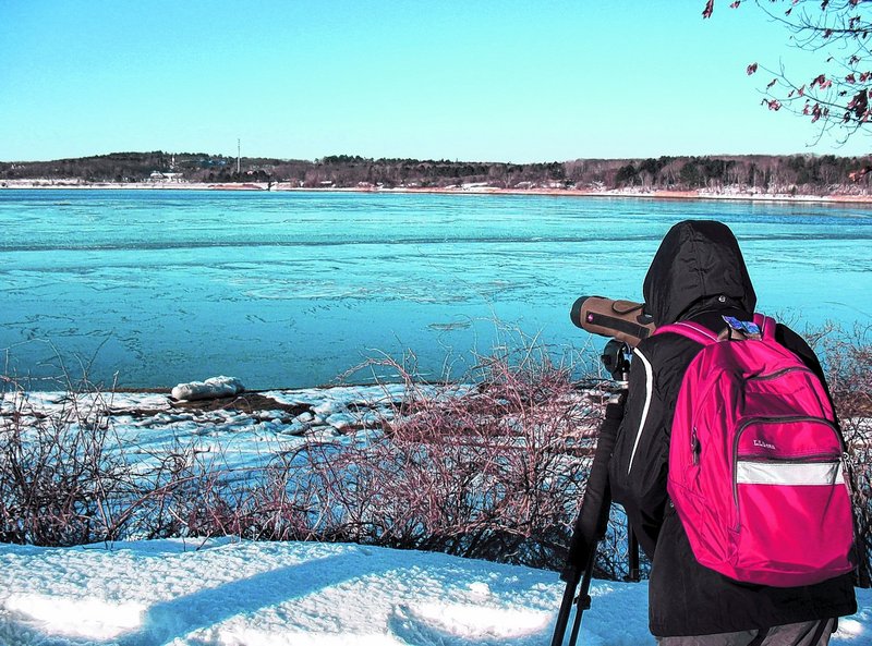 A bird walk participant uses a field scope provided by Audubon to get better views of ducks.