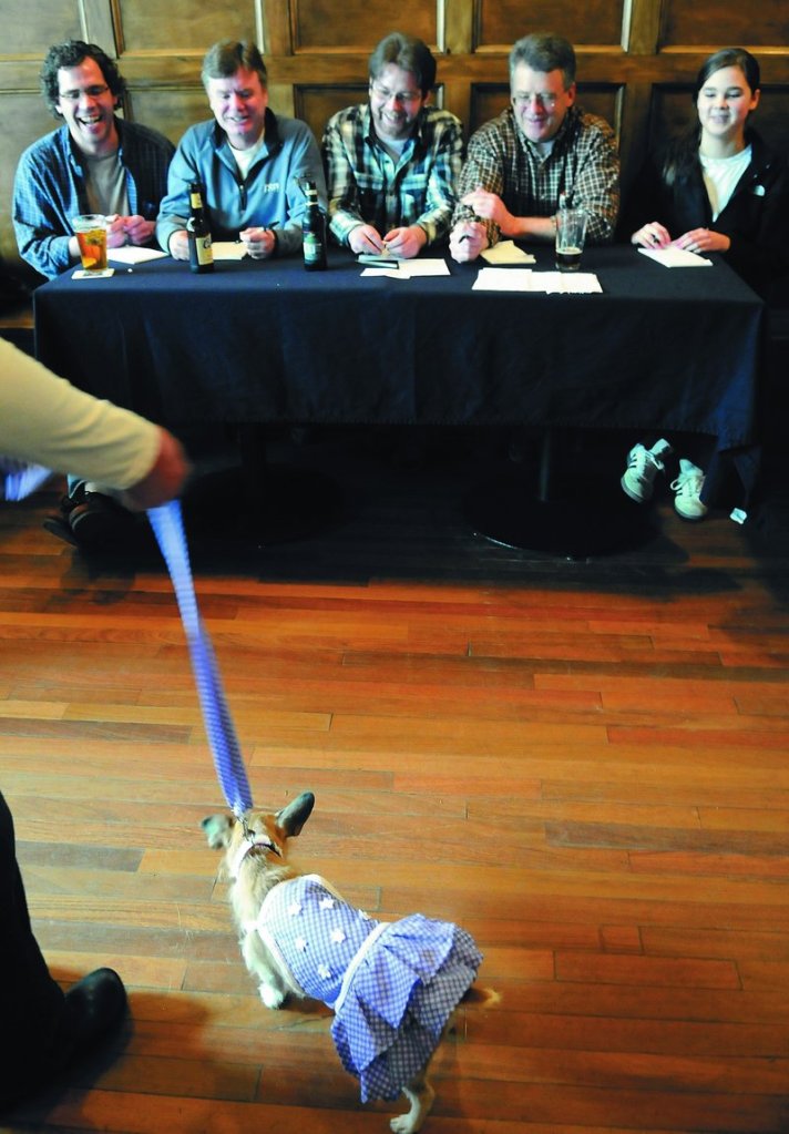 Judges assess Stephanie Benner’s Sweet Adeline on Sunday during the canine fashion show at the Old Goat Pub in Richmond. Adeline earned scores of “8” across the board.
