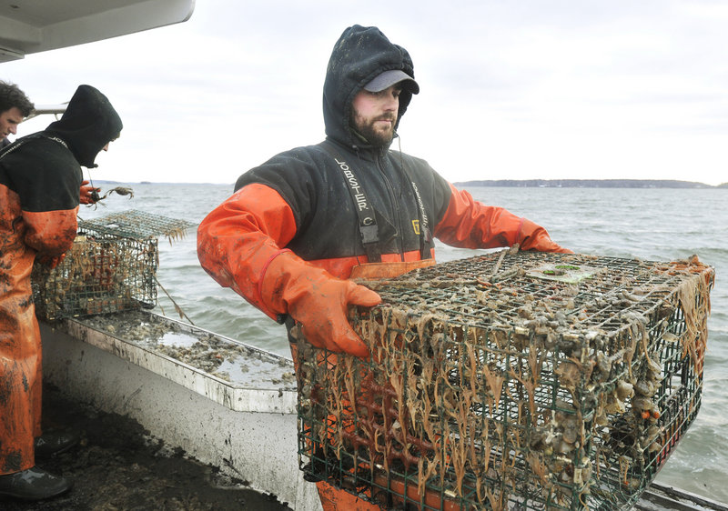 Dave Laliberte, a Lucky Catch crewman, carries a recovered lobster trap to the back of the boat. The cleanup project is funded by a $200,000 grant from money paid by a shipping company fined for dumping waste oil in the ocean off Maine.