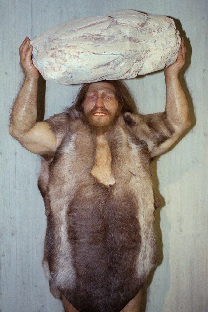 A replica of a Neanderthal man is seen at a museum in Mettmann, Germany. Neanderthals were among the first to regularly use fire for heat, light and cooking.