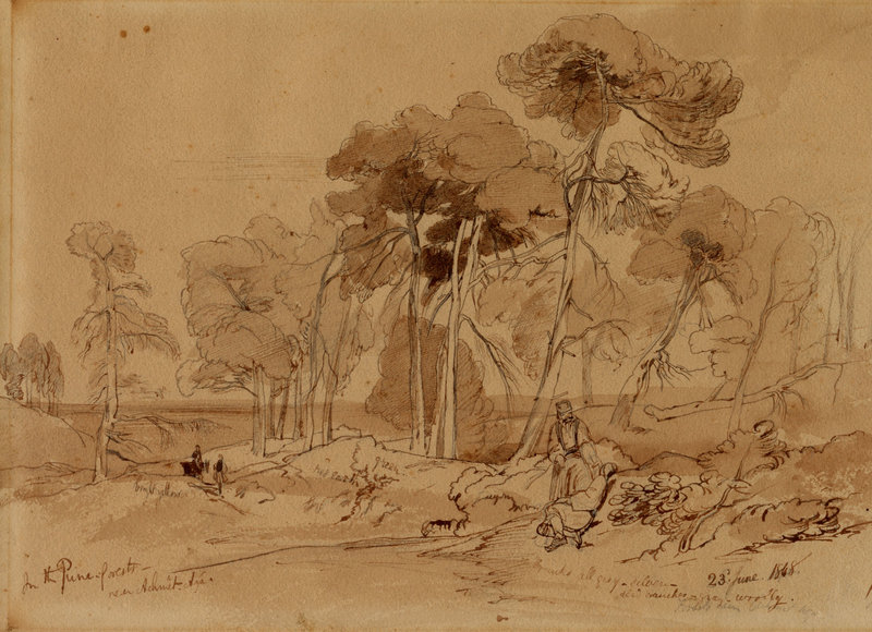 'In the Pine Forests near Achmet-Aga" by Edward Lear, 1848.