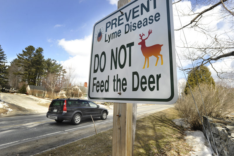 Signs that went up in Cumberland last week, warning of Lyme disease and asking residents not to feed deer, are part of an effort to educate the public about the practice.