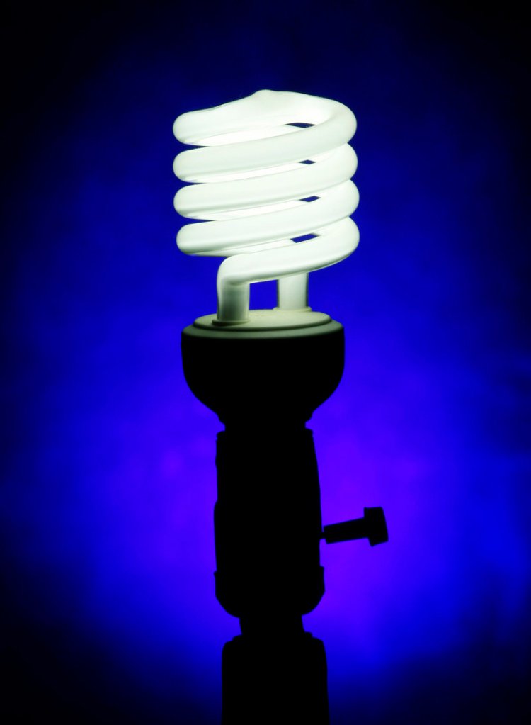 Experts say a compact fluorescent light bulb can last up to 10,000 hours.