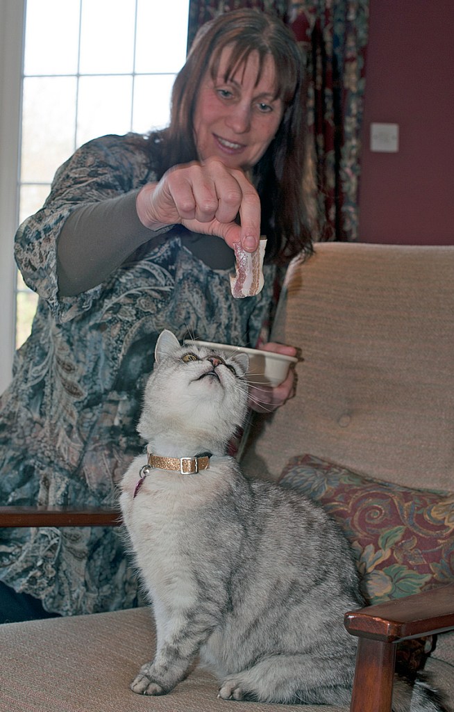 Smokey gets a treat from owner Ruth Adams. A recording of Smokey purring has been submitted to the Guinness World Records.