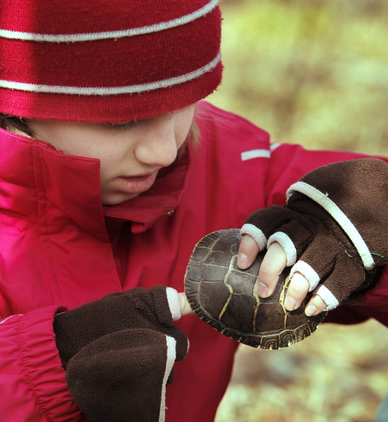 Kadia Thompson examines the shell of a painted turtle as her class explores the Wells reserve.