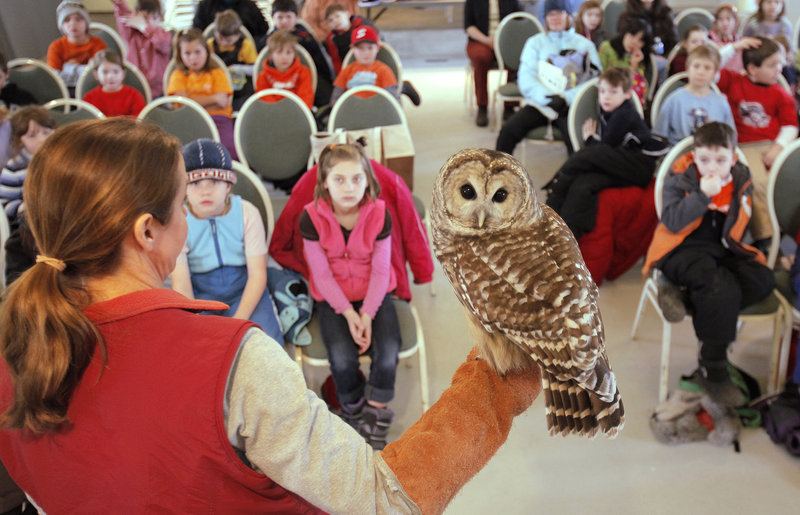 Karen McElmurry, director of the Center for Wildlife in York, shows a barred owl to students at the Wells Reserve at Laudholm. The students in the “Wild Friends in Wild Places” program are asked to create wildlife habitats back at their schools.