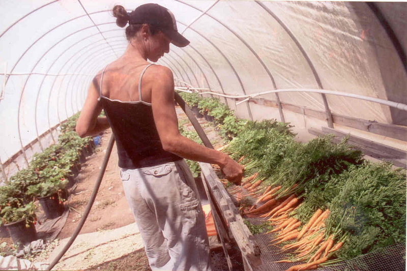 In a scene from “The Greenhorns,” a documentary that explores the lives of young farmers, Amy Courtney of Freewheeling Farm in California rinses carrots in a greenhouse.