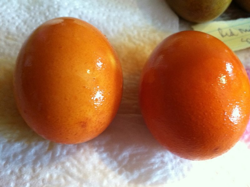 Eggs dyed in yellow onion skins.